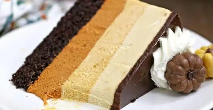 Pumpkin Chocolate Mousse Cake
